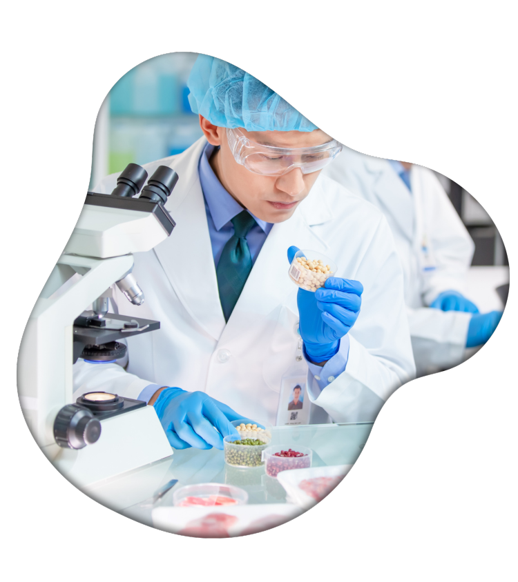 Our Commitment to Quality